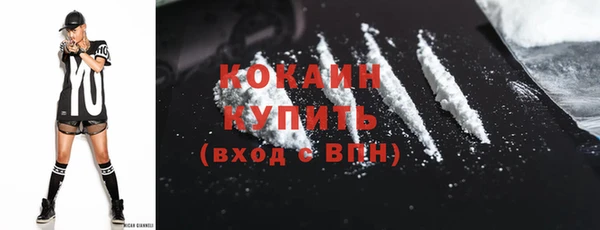 гидра Верея