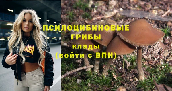 гидра Верея