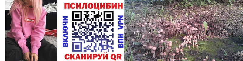 Псилоцибиновые грибы Cubensis  Купить где  Шахунья 
