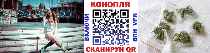 Купить закладки  Шахунья  Конопля планчик 